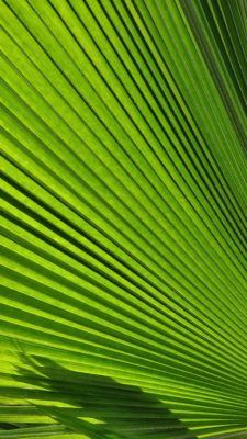 comment reconnaitre greenwashing dans la mode